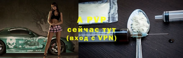 дживик Белокуриха