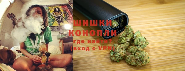 дживик Белокуриха