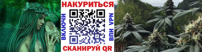 это состав  Пионерский  Каннабис SATIVA & INDICA  продажа наркотиков 